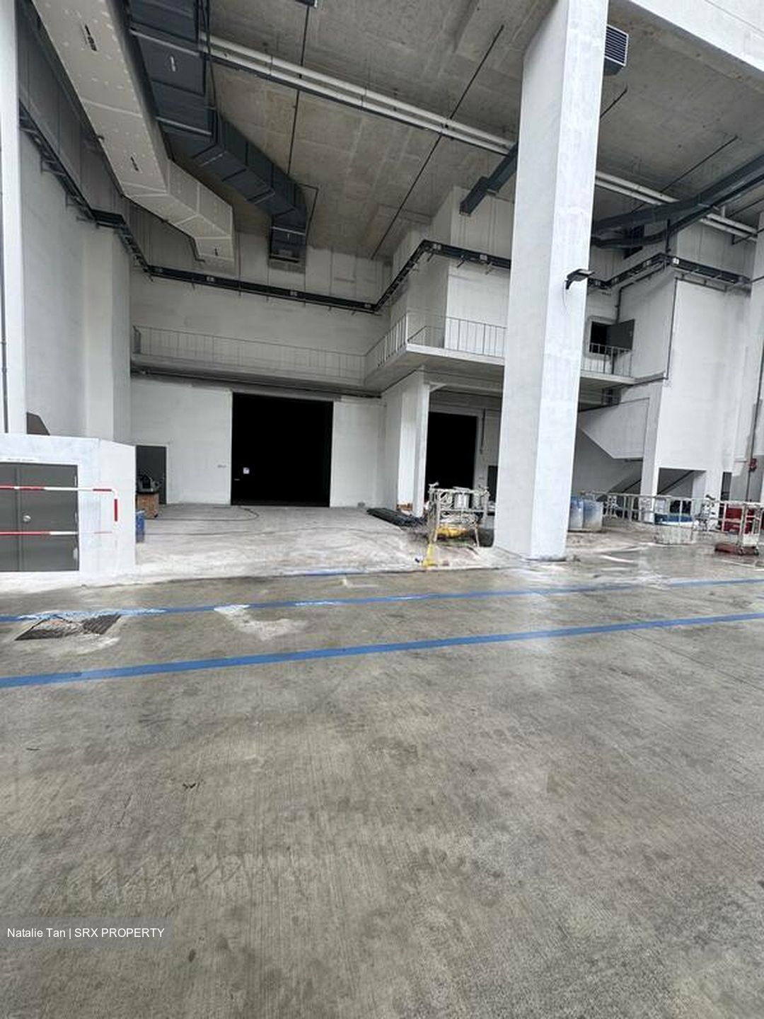 FOOD ASCENT (D22), Factory #522525131